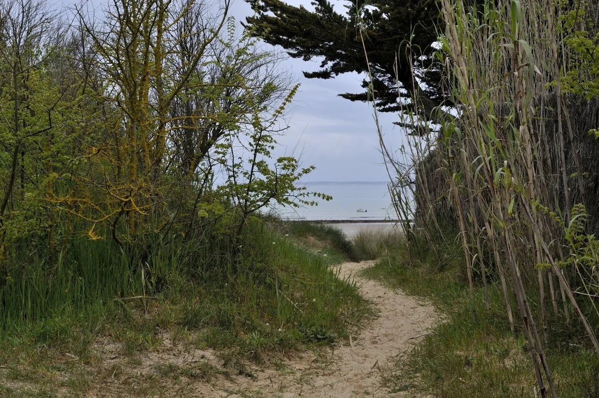 14JDRe_2013_DSC3718_01.JPG
