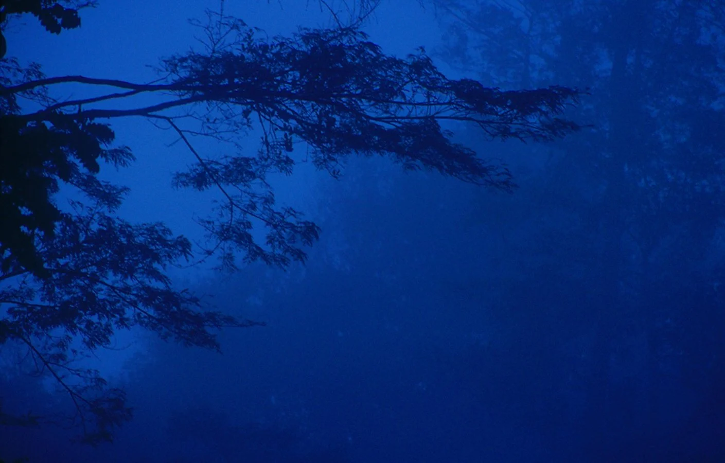 brume-bleutée.jpg
