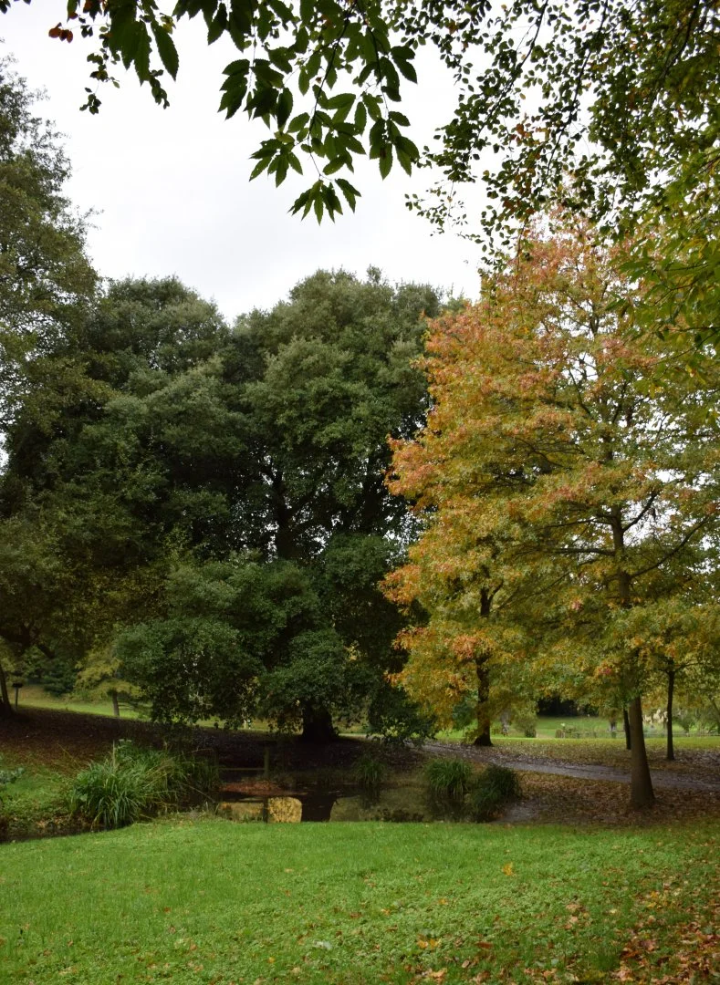 Automne.JPG