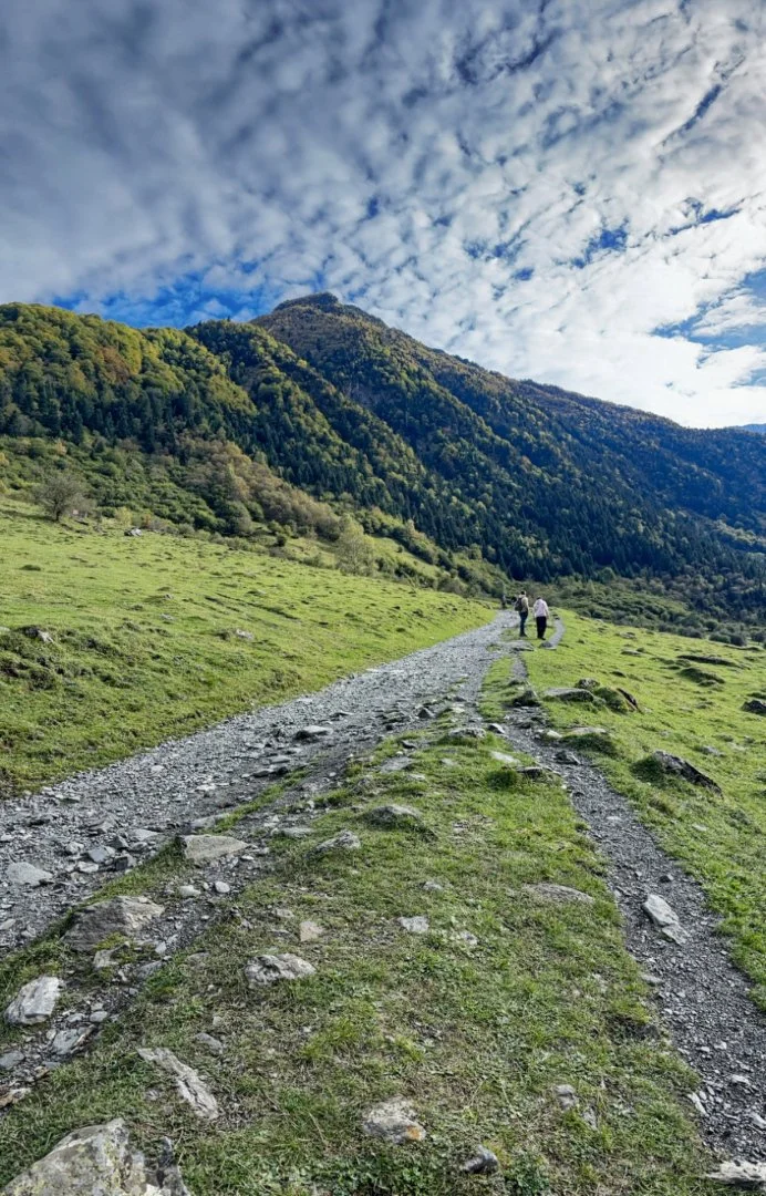 Pyrenees.jpg