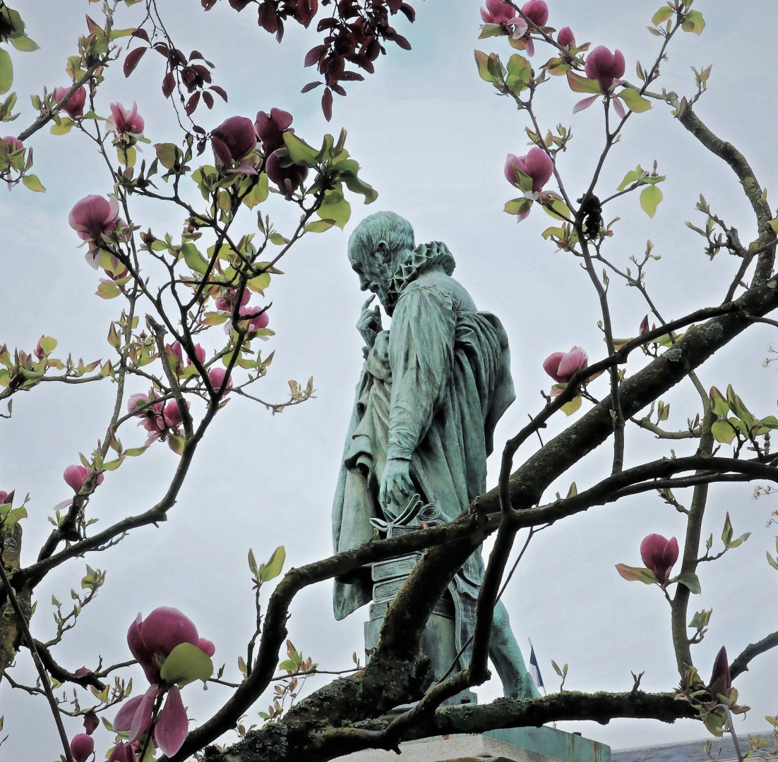 La-Medecine-par-les-plantes.jpg