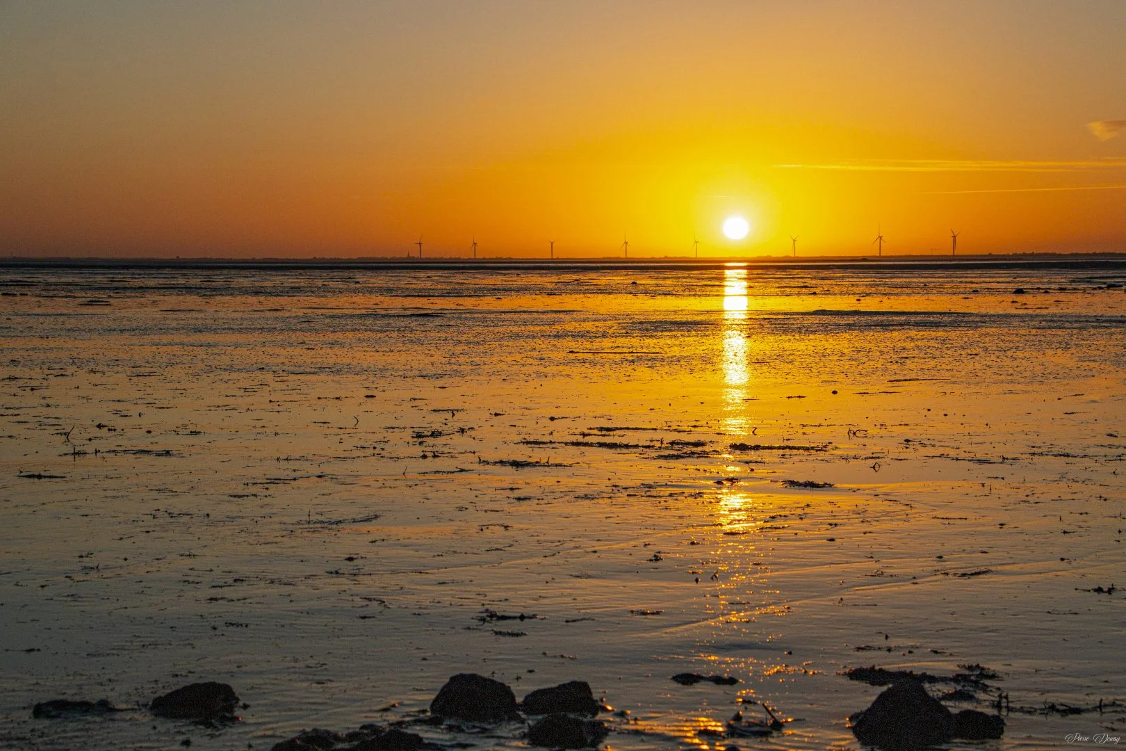 Pierre-D-expo-2-Lever-de-soleil-sur-le-Gois-.jpg