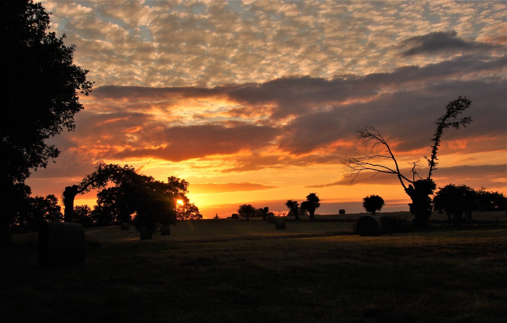 Un-soir-sur-la-Terre.jpg