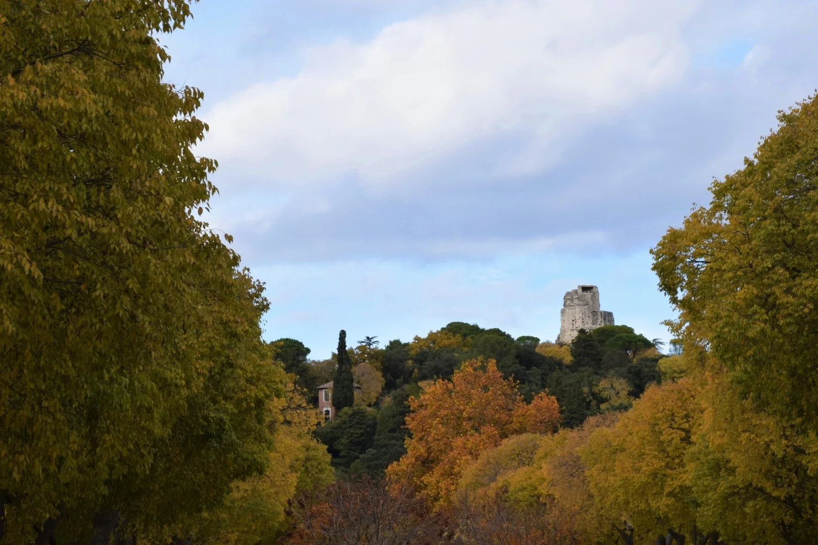 Automne-en-Provence.JPG