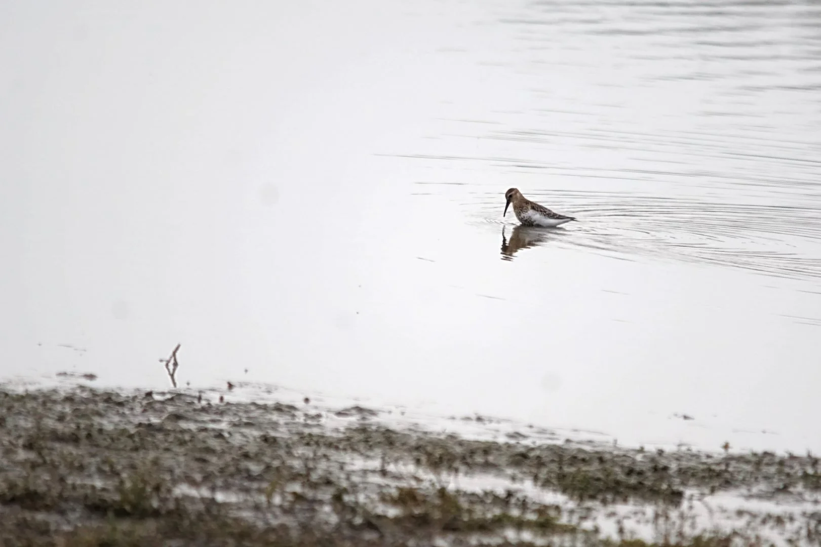 Patrice-Cordier-Bourgon-14_1.jpg