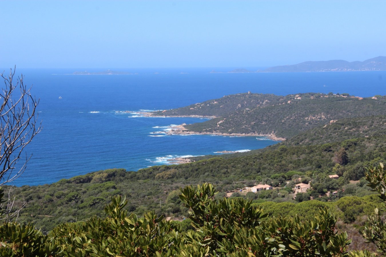 Iles-Sanguinaires-AJACCIO.jpg