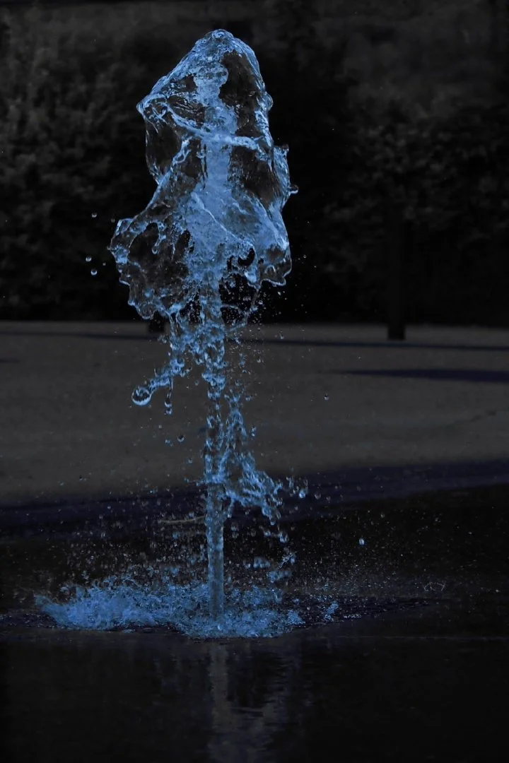 Ballet-Aquatique-.jpg