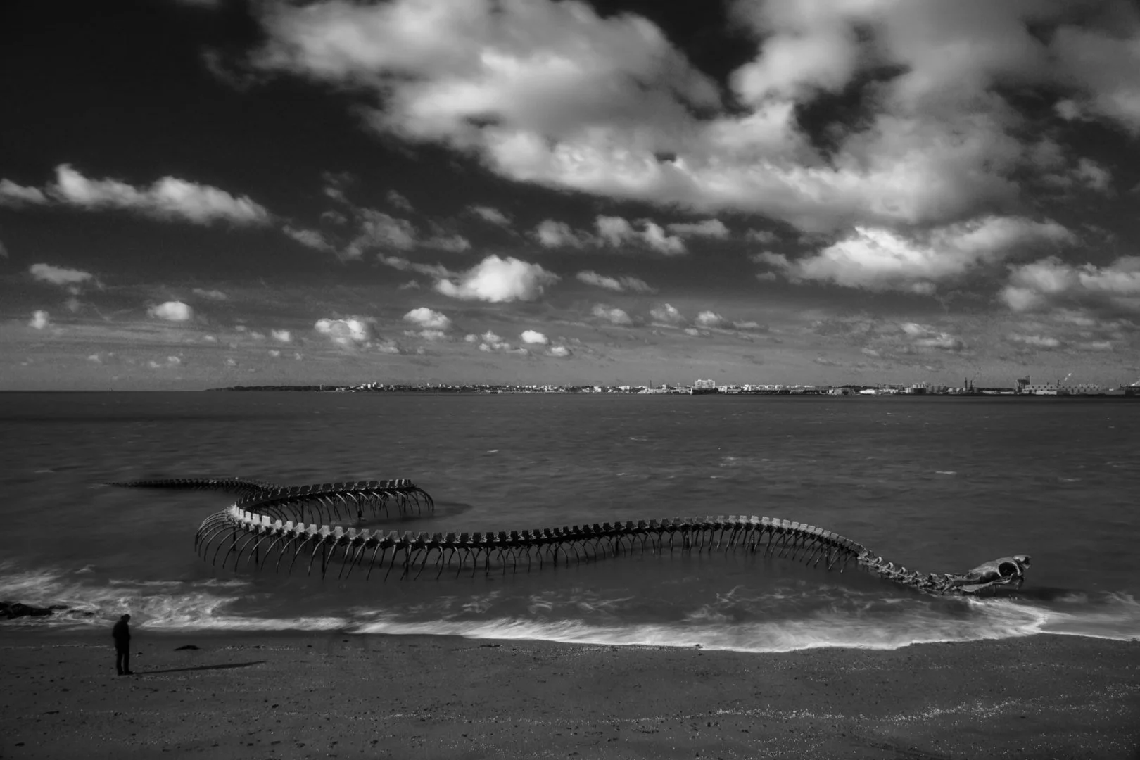 lhomme-et-le-serpent-.jpg