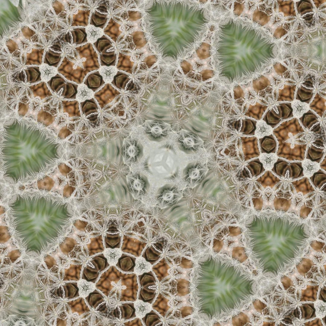 Kaleidoscope.jpg