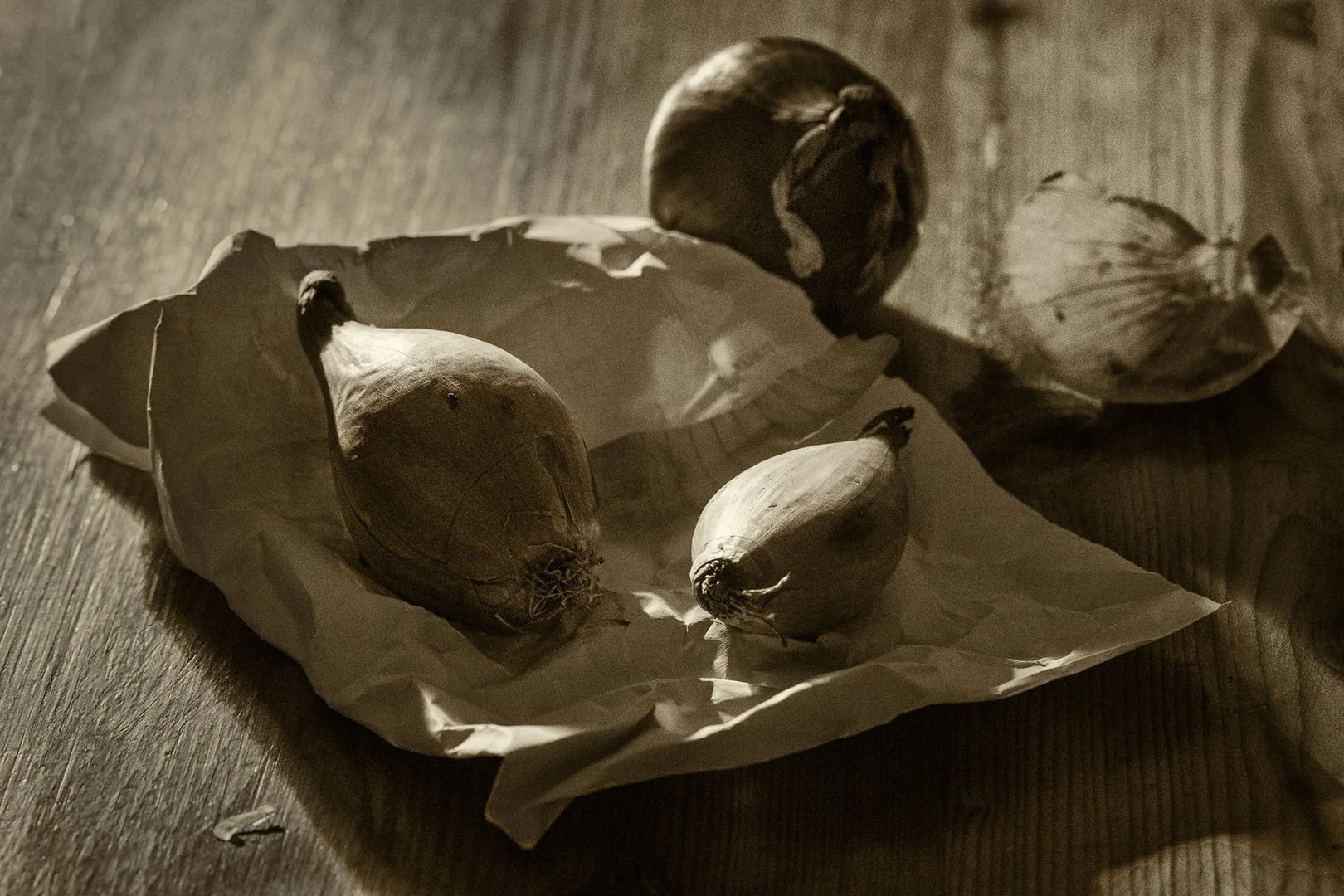 A-la-maniere-de-Josef-Sudek-Nature-morte.jpg