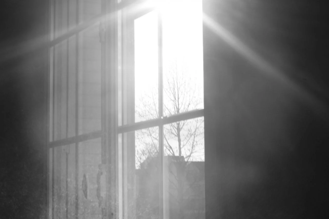 plein-soleil_1.jpg