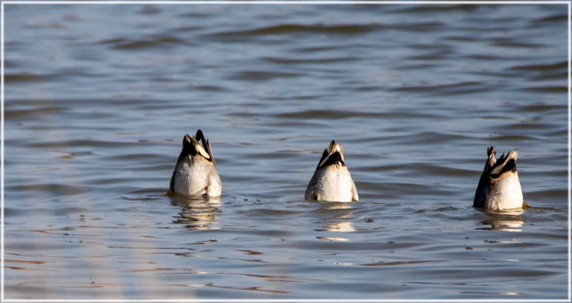 Synchronisation-parfaite.jpg