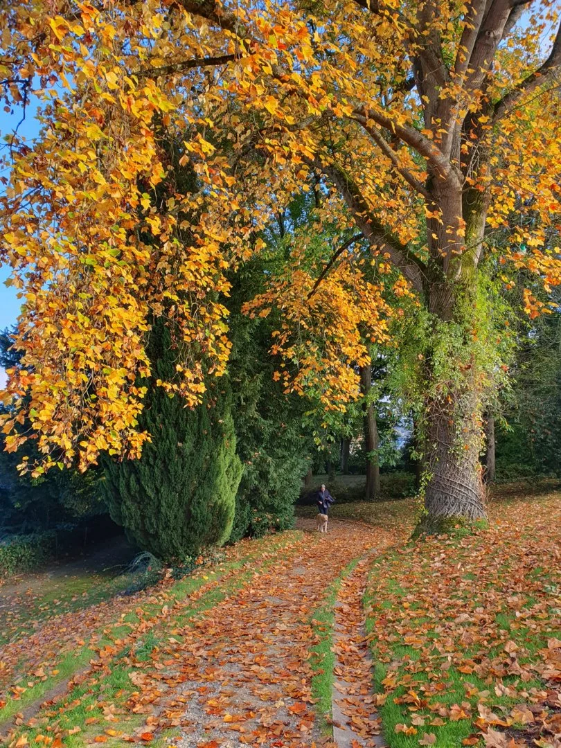 Laval-Image-Defi-Photos-60-ans-Parcs-004.jpg