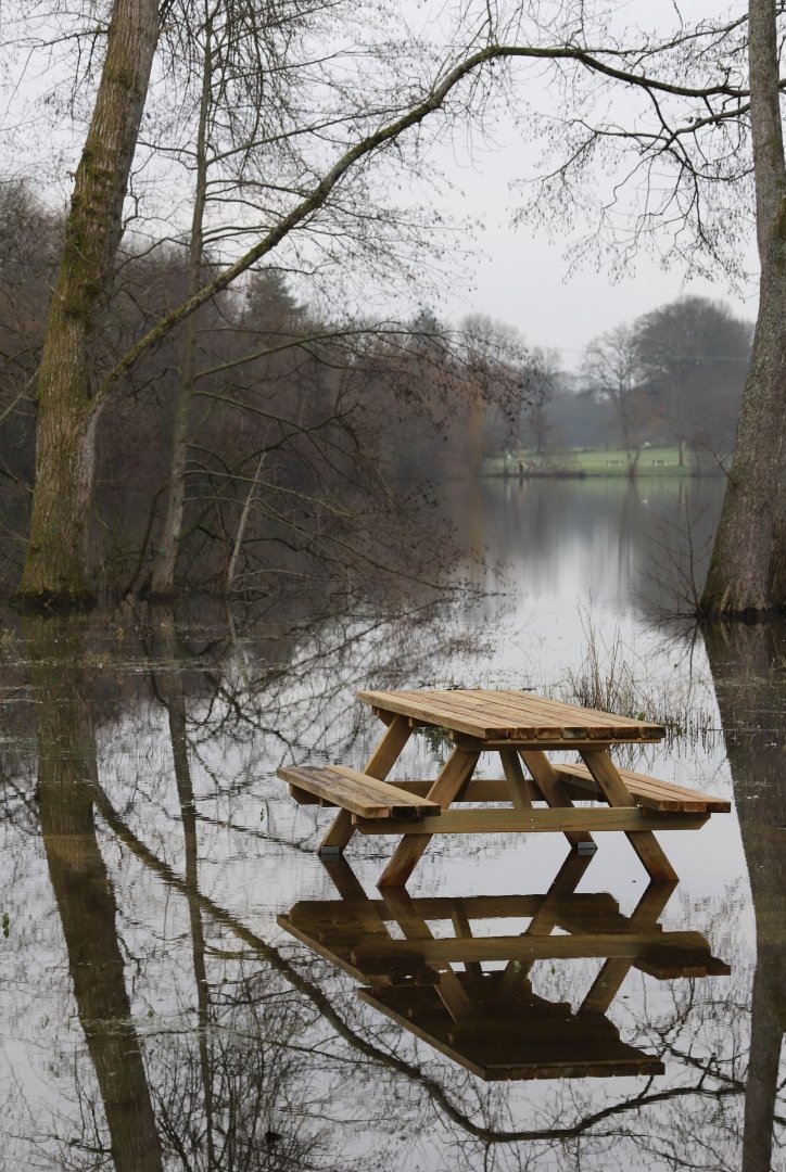 Les-pieds-dans-leau-.jpg