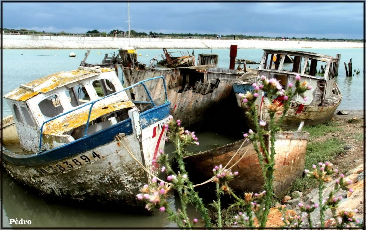 5-bateau.jpg