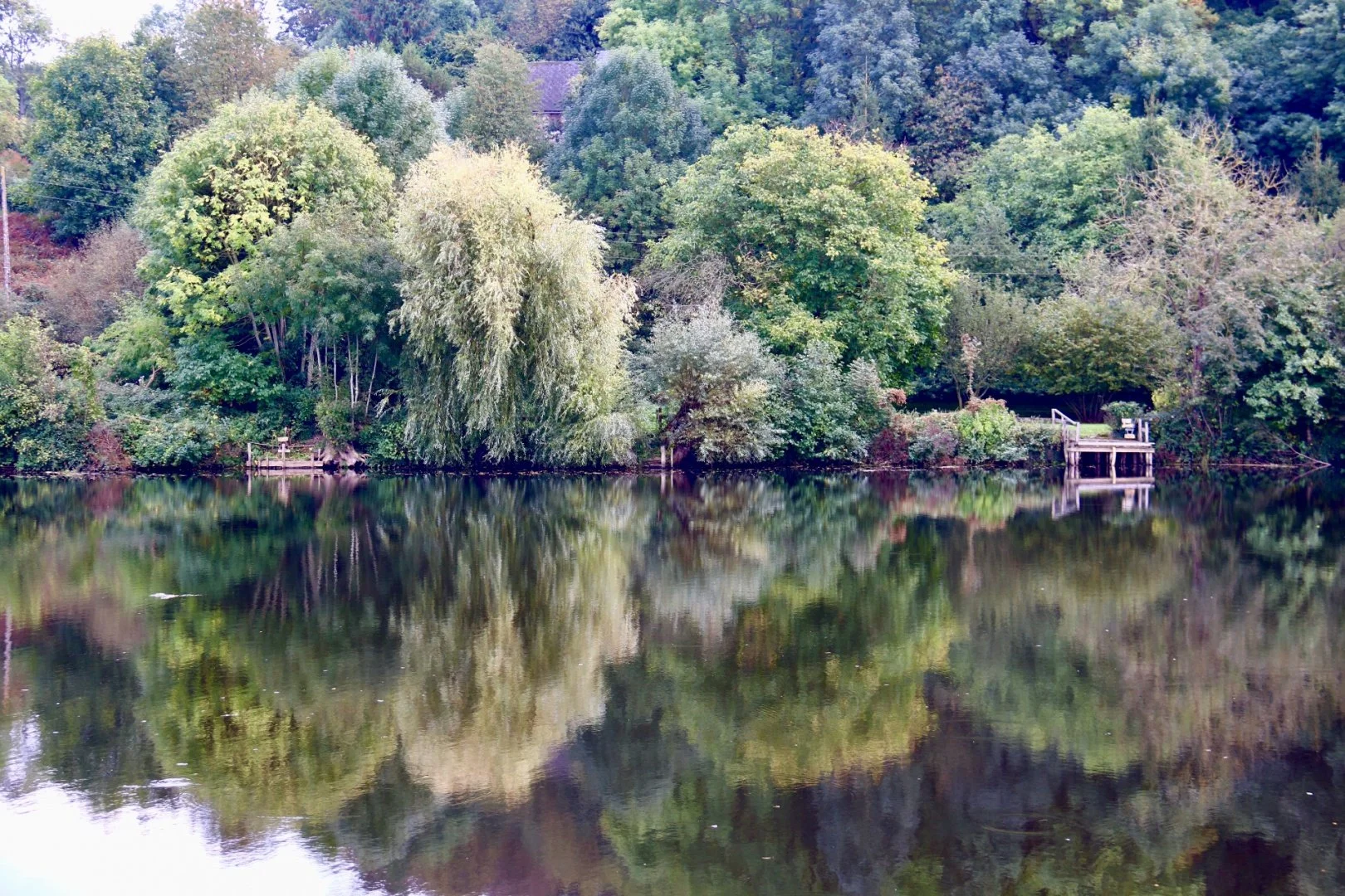 Reflet_li.jpg