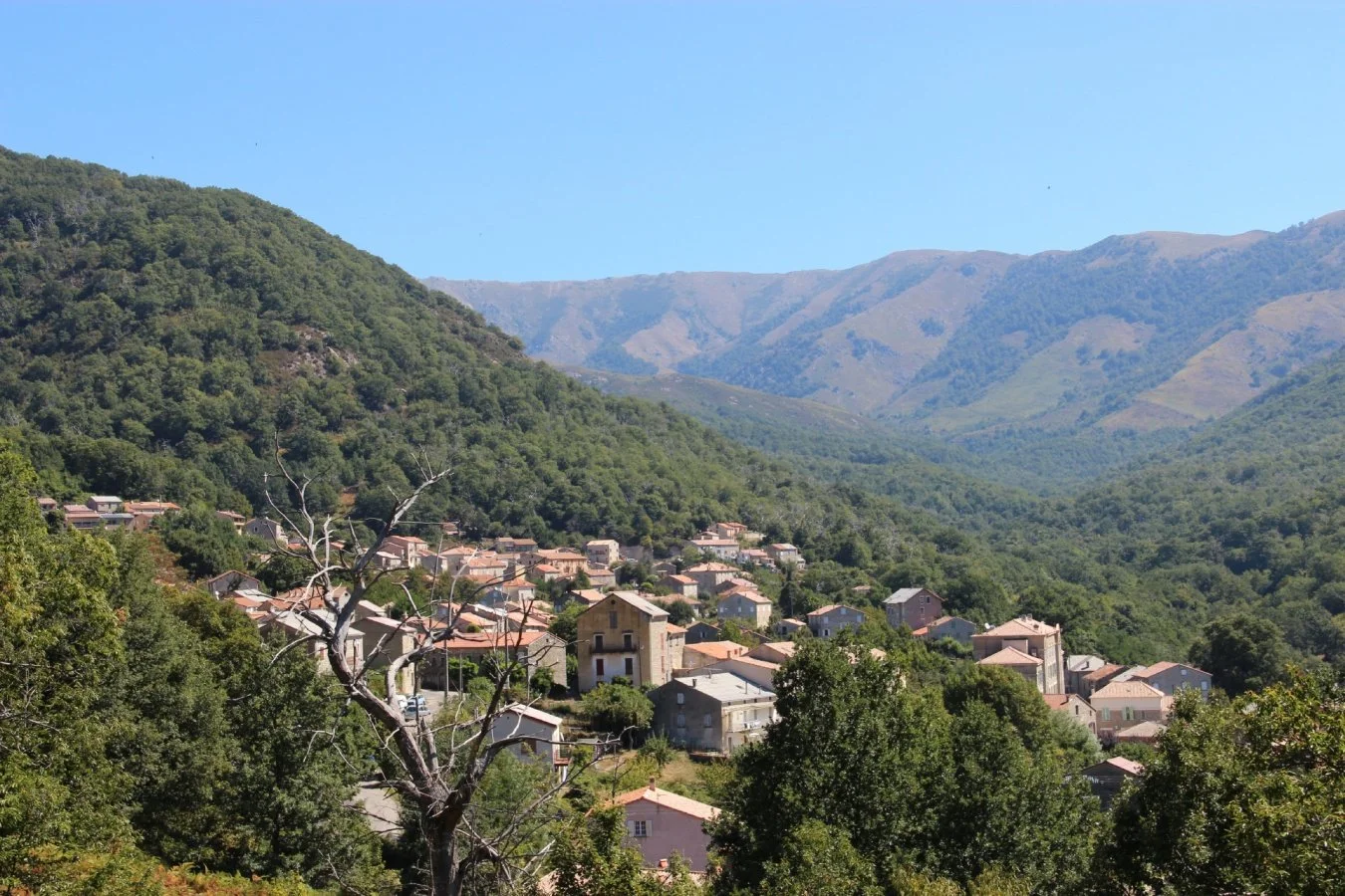 Village-Corse-BASTELICA.jpg
