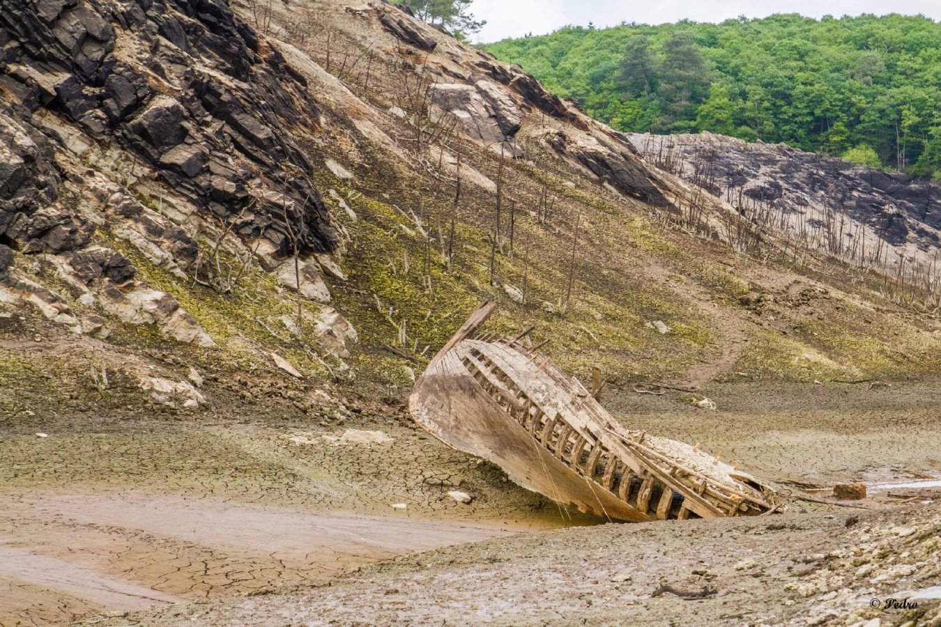 Anse-de-Guerlédan-une-épave.jpg