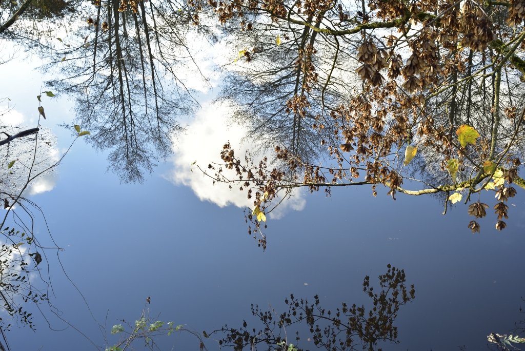 Effet-de-miroir-sur-la-Mayenne.jpg