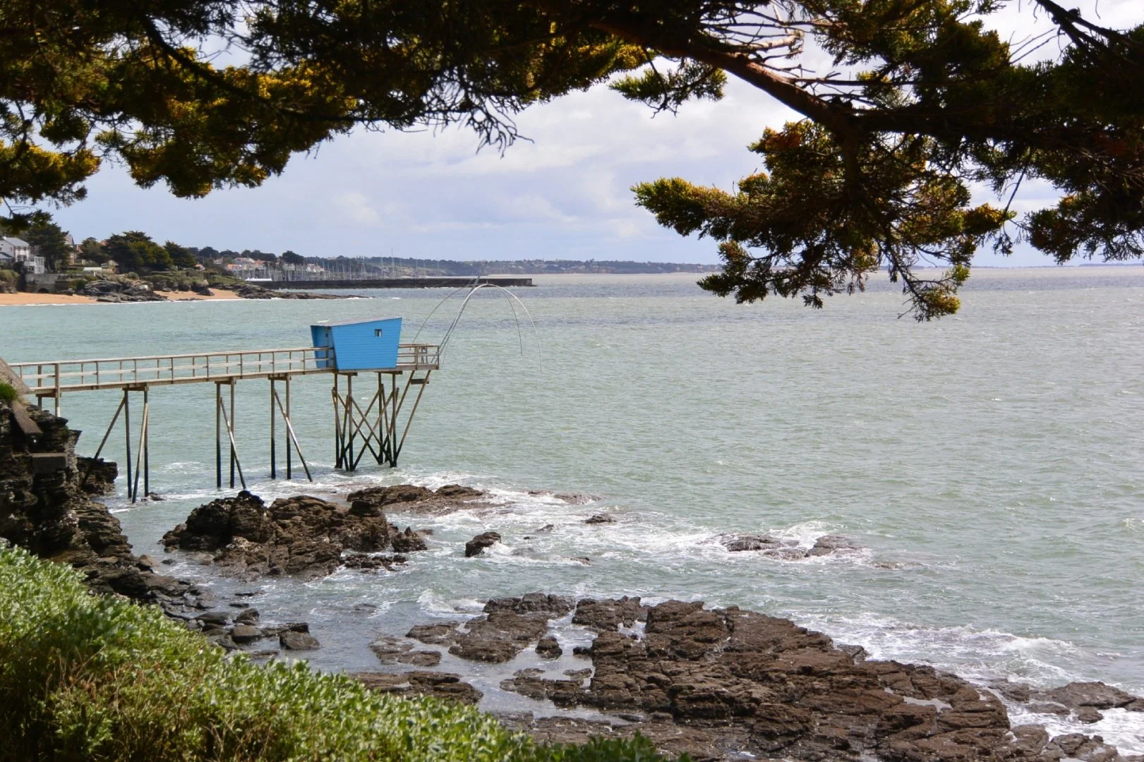 Pêcherie-bleue.jpg