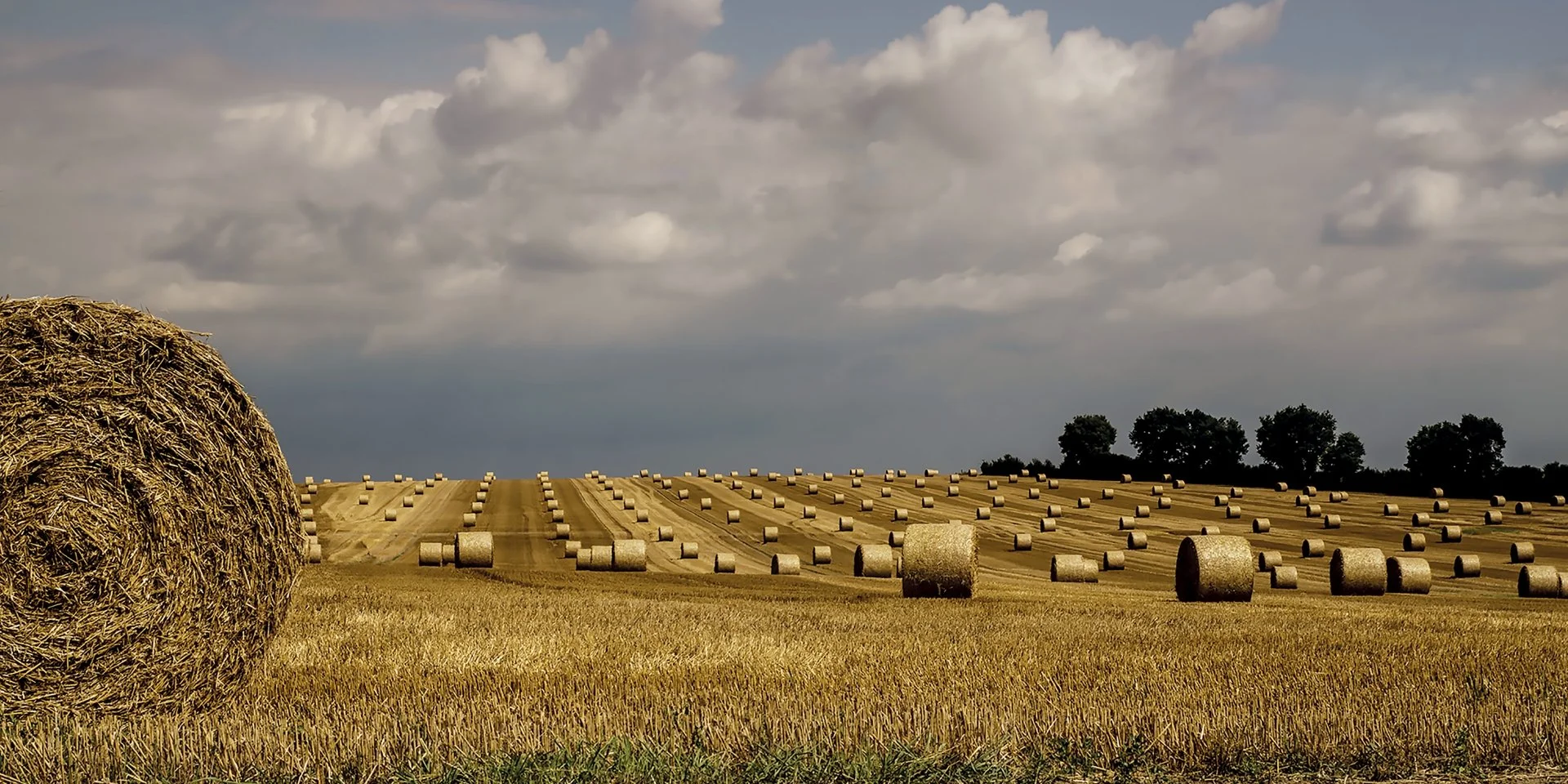 Daniel-H.-Sans-titre-01-60x30.jpg