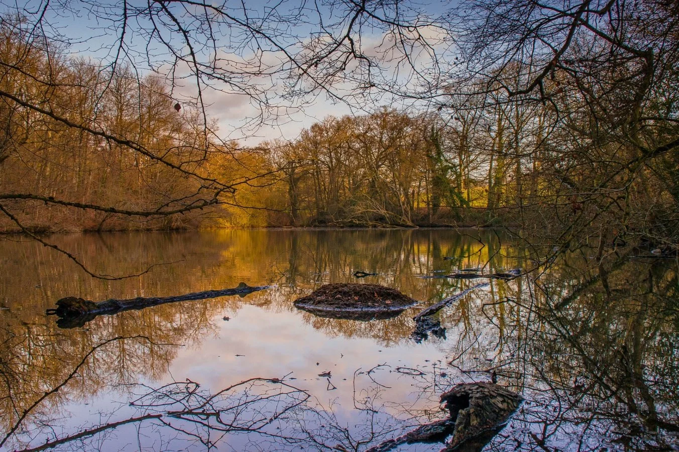 Etang-petit-Forcé_.jpg
