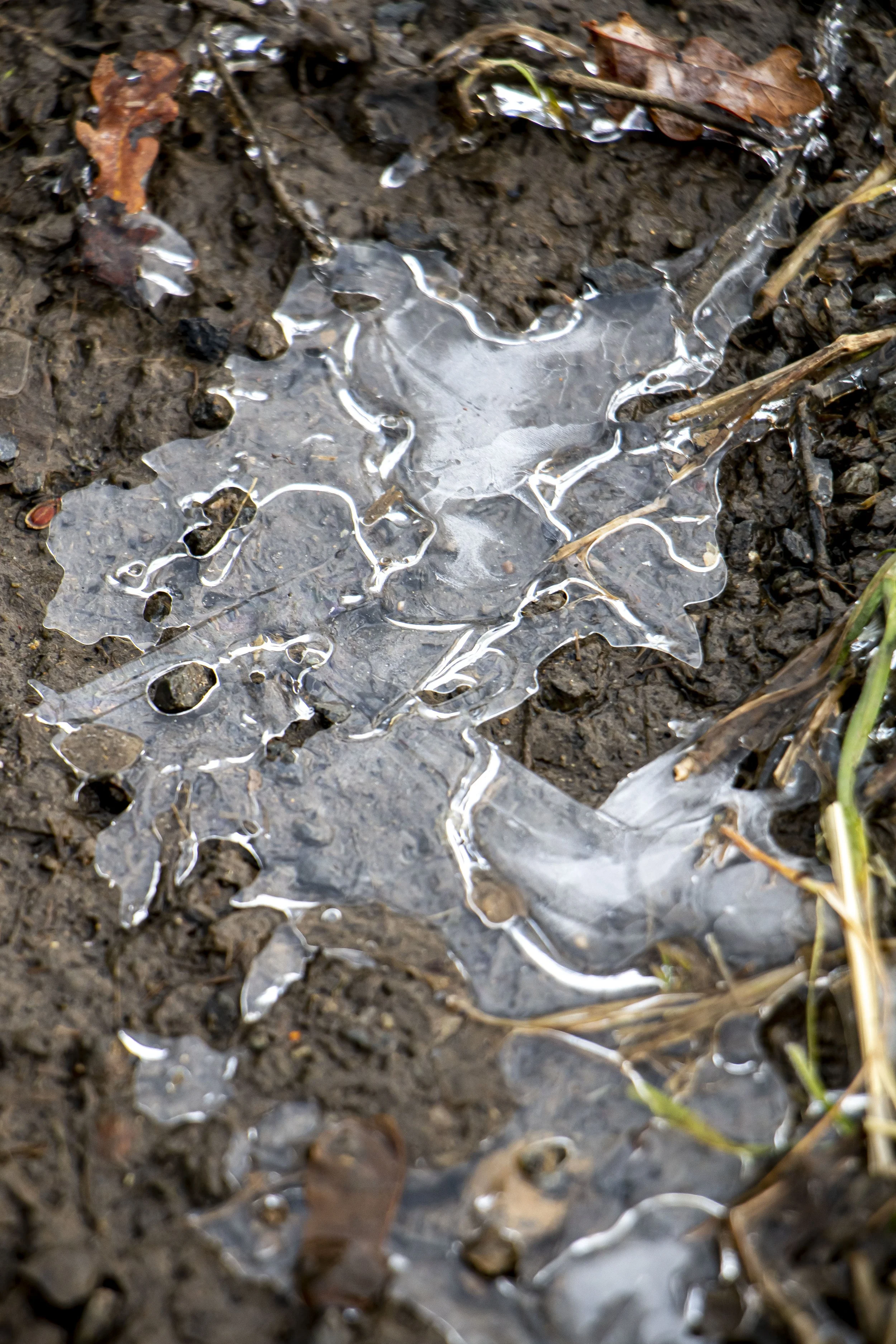 L'eau solide .jpg