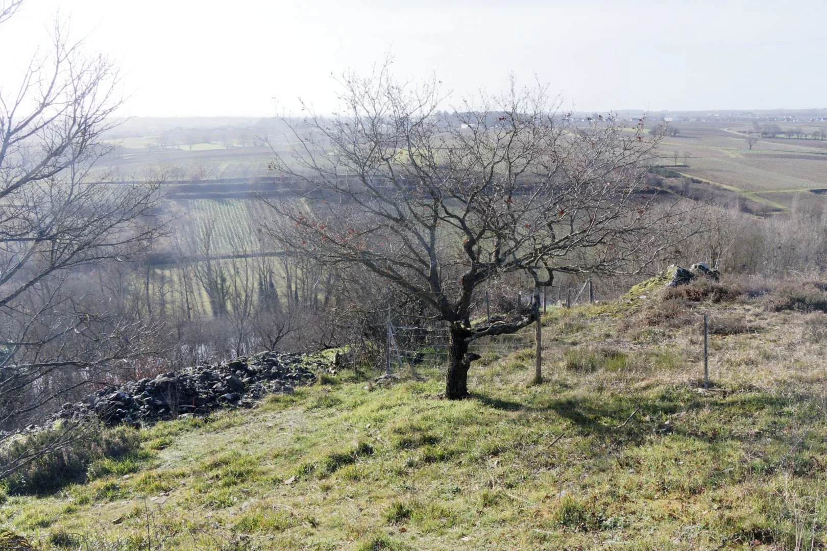 Faille-de-lAnjou.jpg