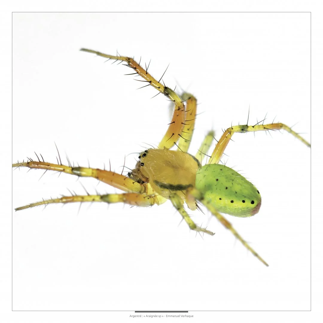 Support-Dibond-80X80cm-HD-2.jpg
