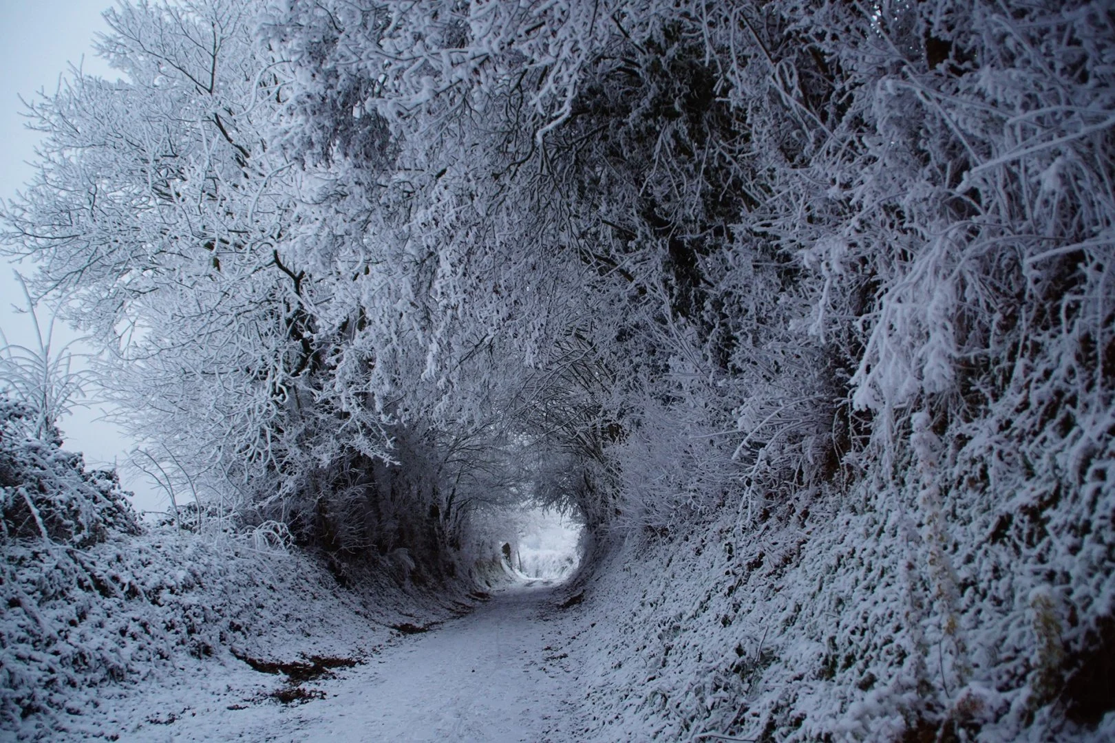 Au-bout-du-chemin.jpg