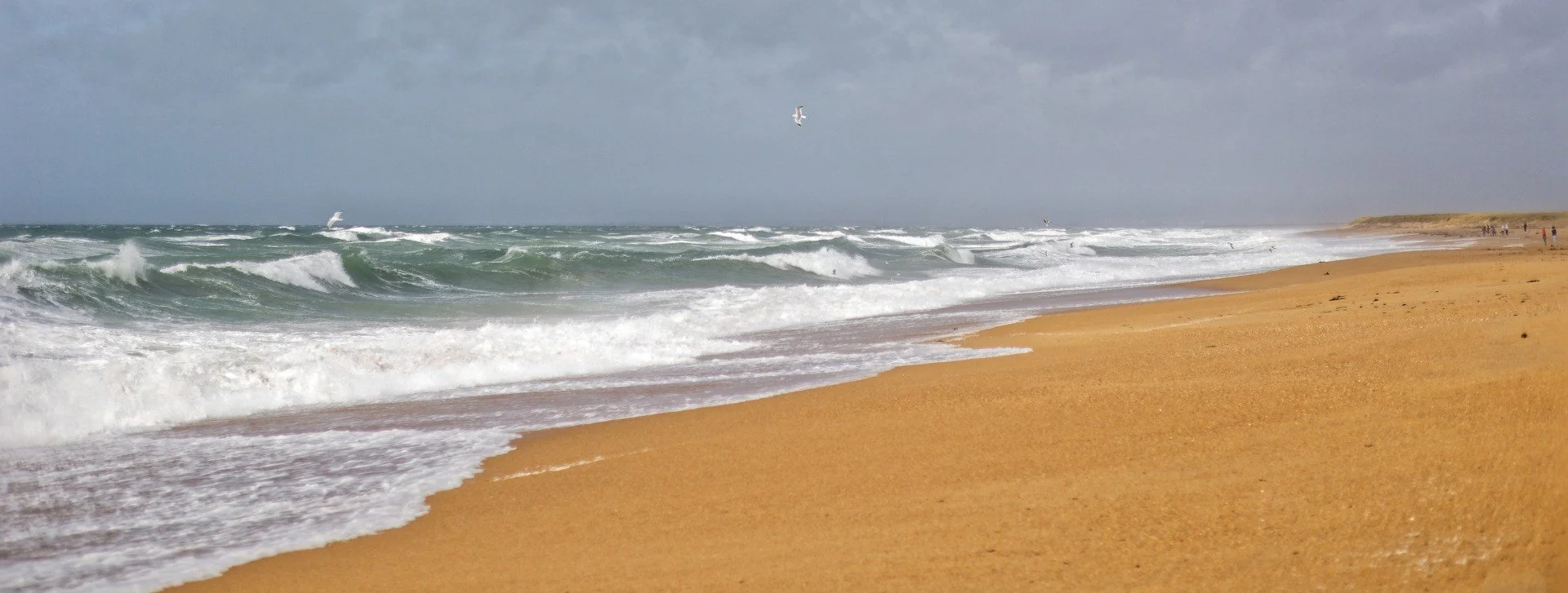Lendemain-de-tempete-.jpg