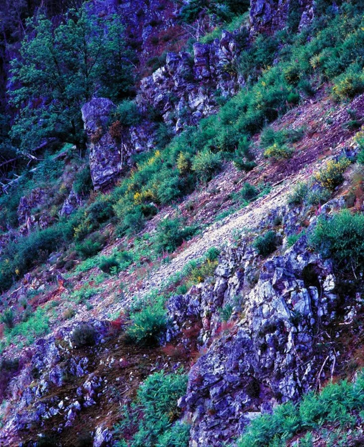 PTE-08-137-05_li.jpg