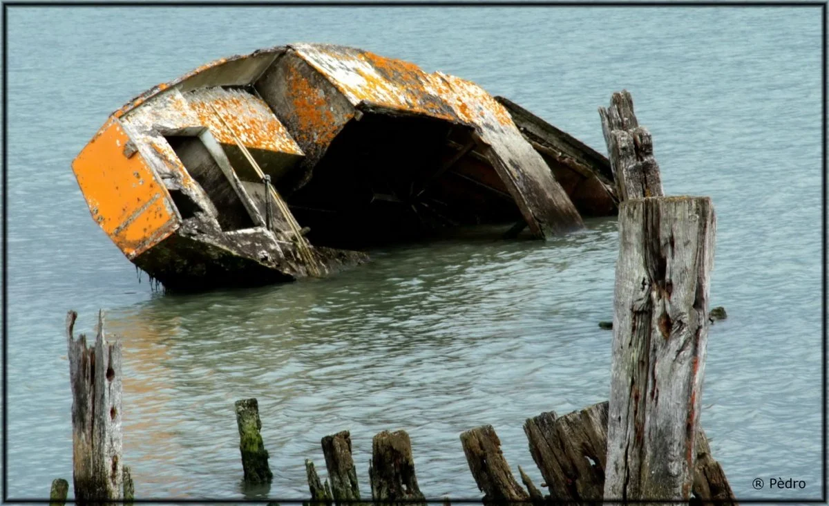 8-bateau.jpg