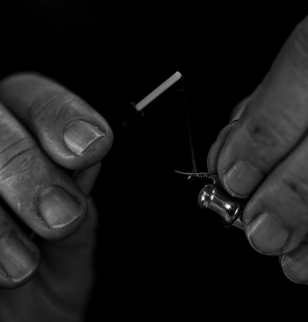 la-mouche-et-la-main.jpg
