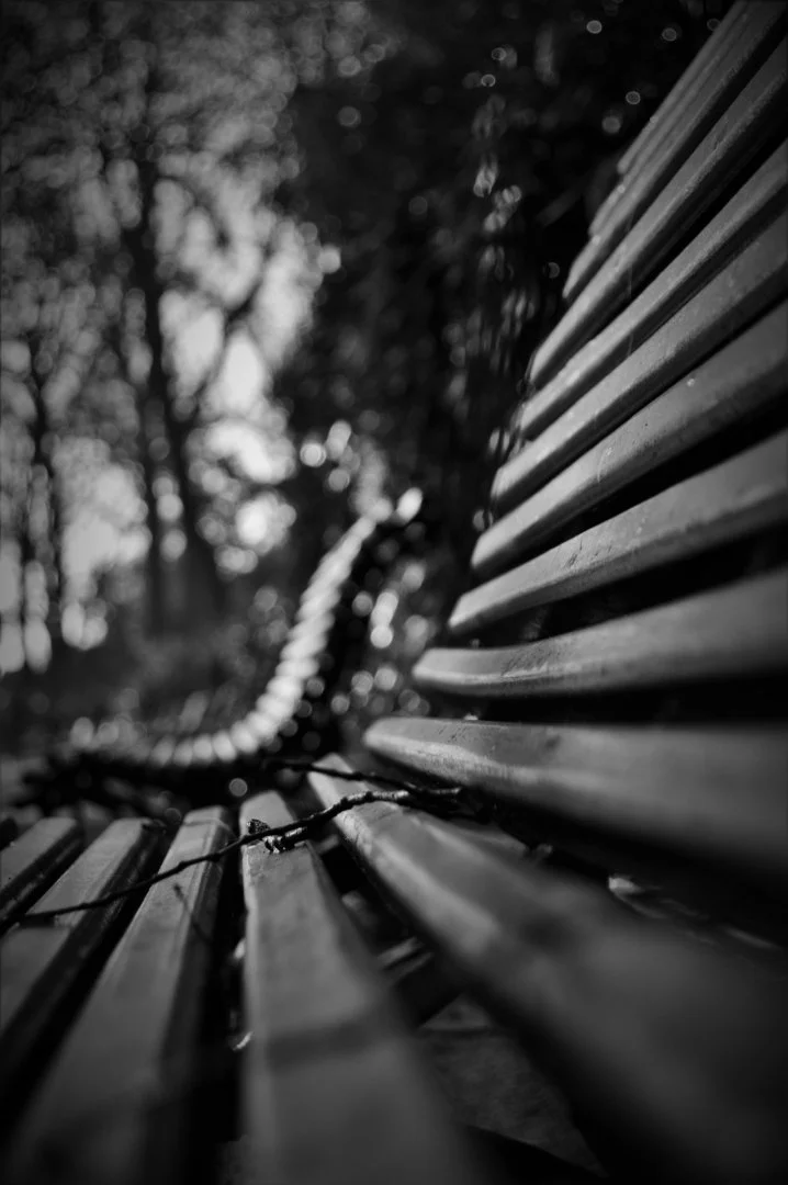 Les-bancs-publics.jpg
