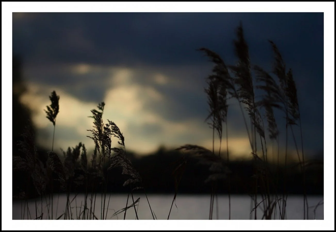 Etang-dolivet.jpg