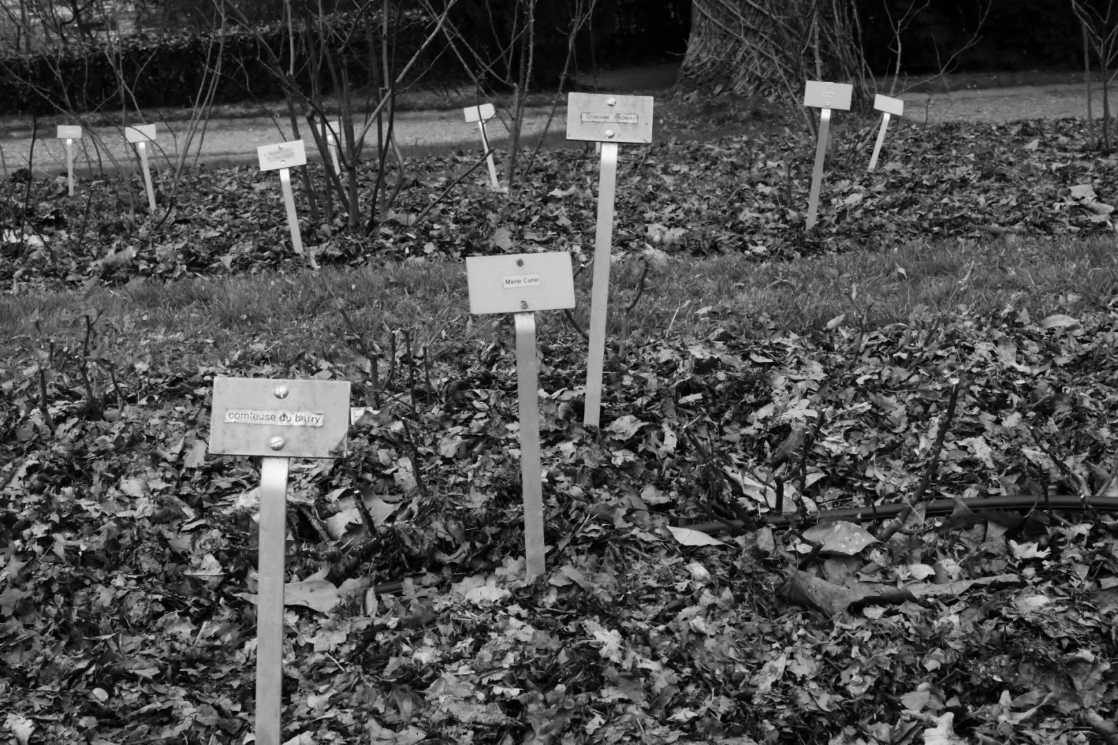 Au-jardin-de-la-Perrine.jpg