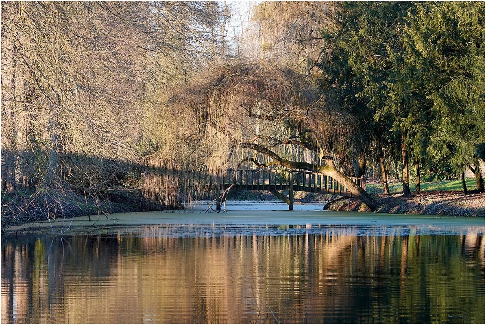 Petit-Pont-de-Bois.jpg