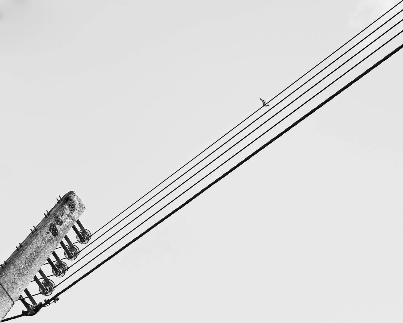 avec-une-seule-note-de-musique.jpg