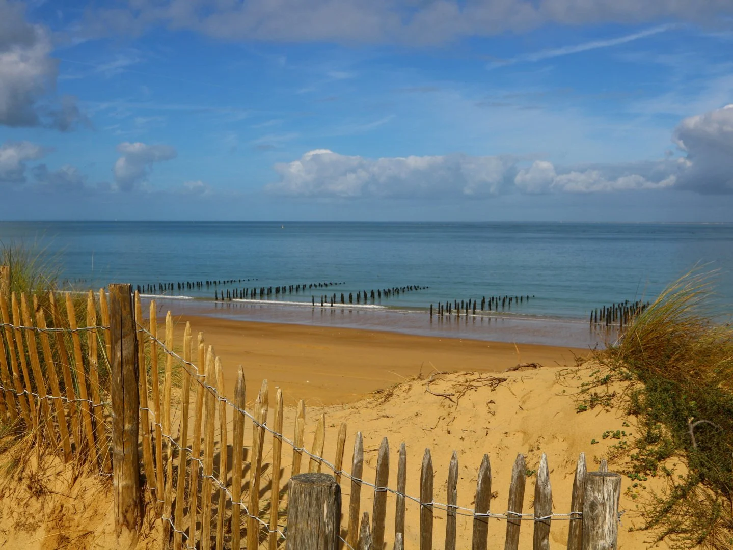 Ambiance-marine.jpg