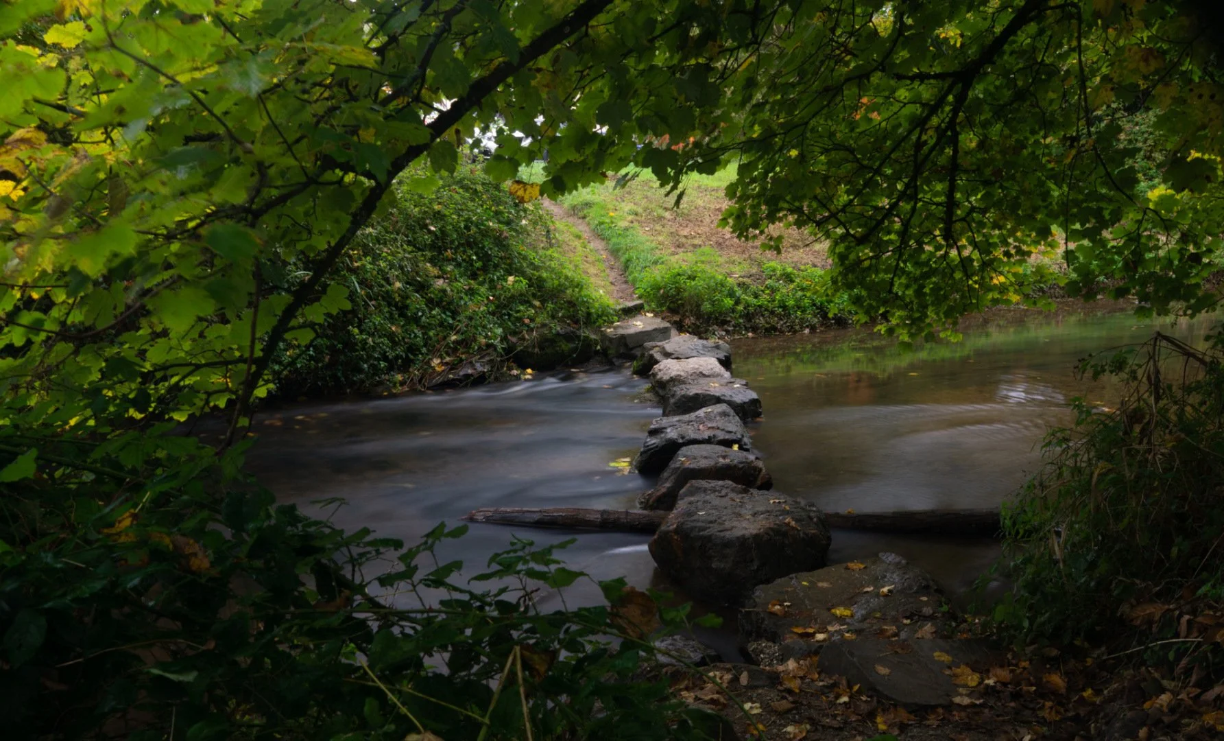 DSC02675.jpg