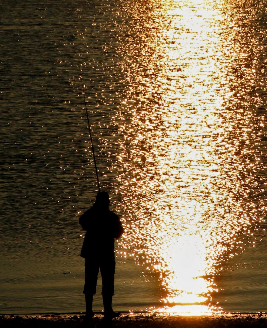 silhouette.jpg