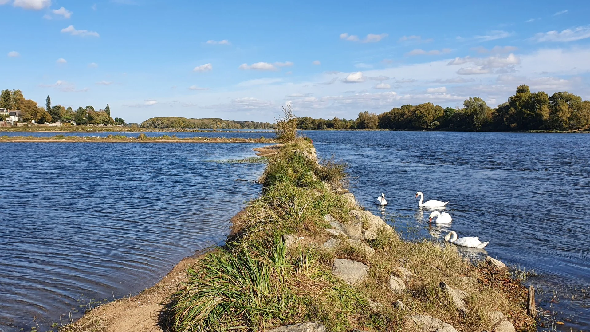 Bord-de-Loire.jpg