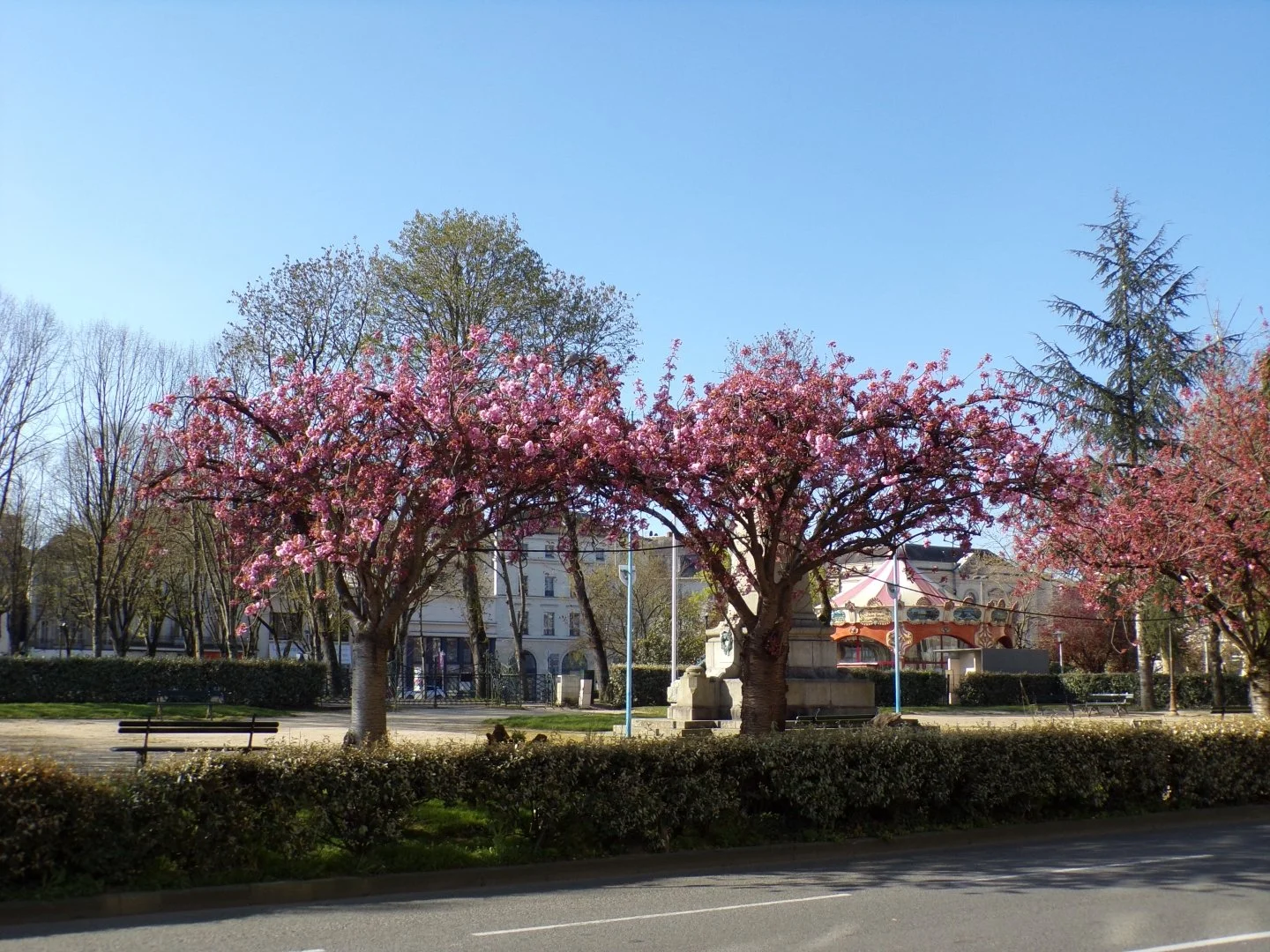 Soizic-F.-Arbres-en-fleurs.JPG