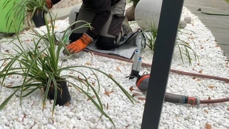 plantering ny rabatt material växter.webp