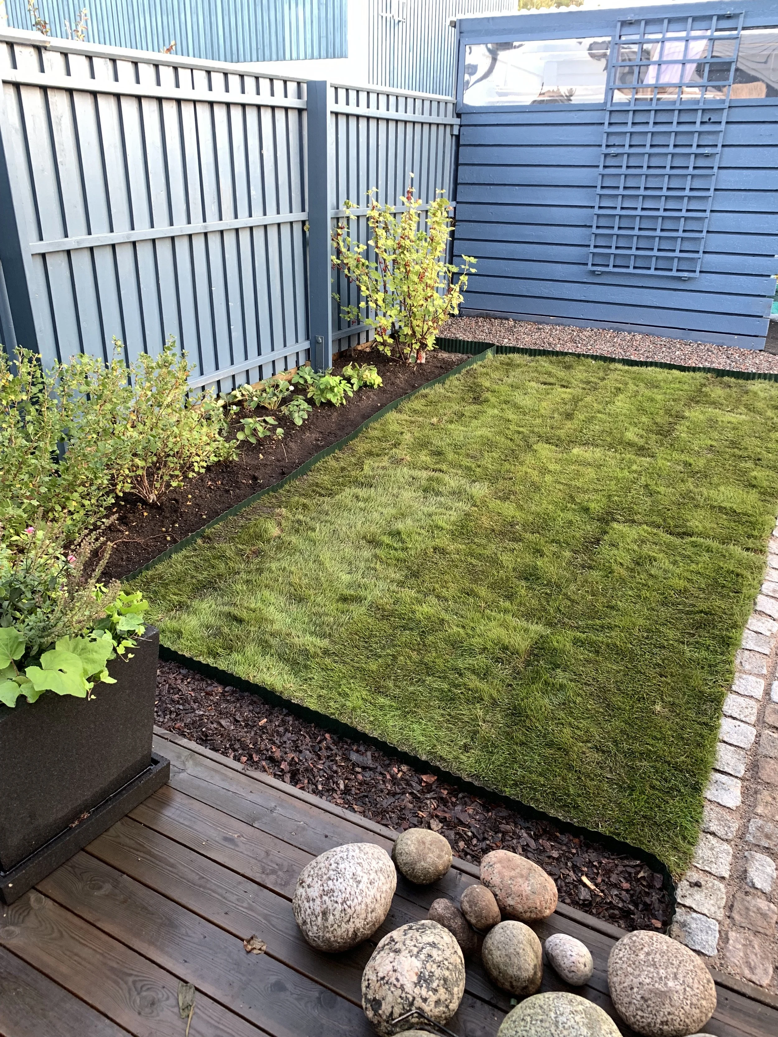 Radhusträdgård Täby GureGarden Trädgårdsförbättring.jpeg