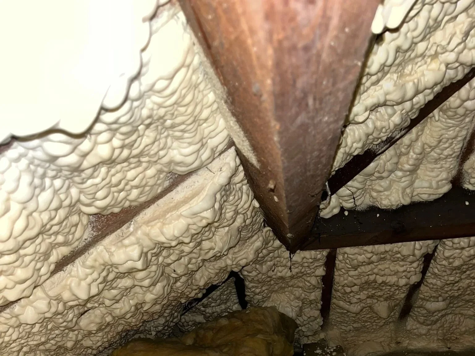 Surveyors &amp; Spray Foam Insulation | UK Property Survey Problems Explained