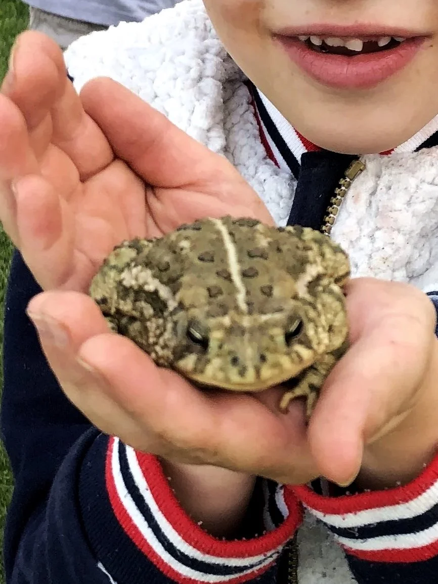 Children or pediatric patients and your whole family welcome.