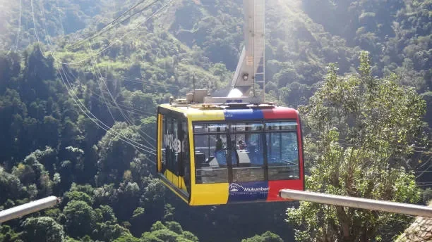 A colorful cable car traveling over a forested valley with mountains in the background.