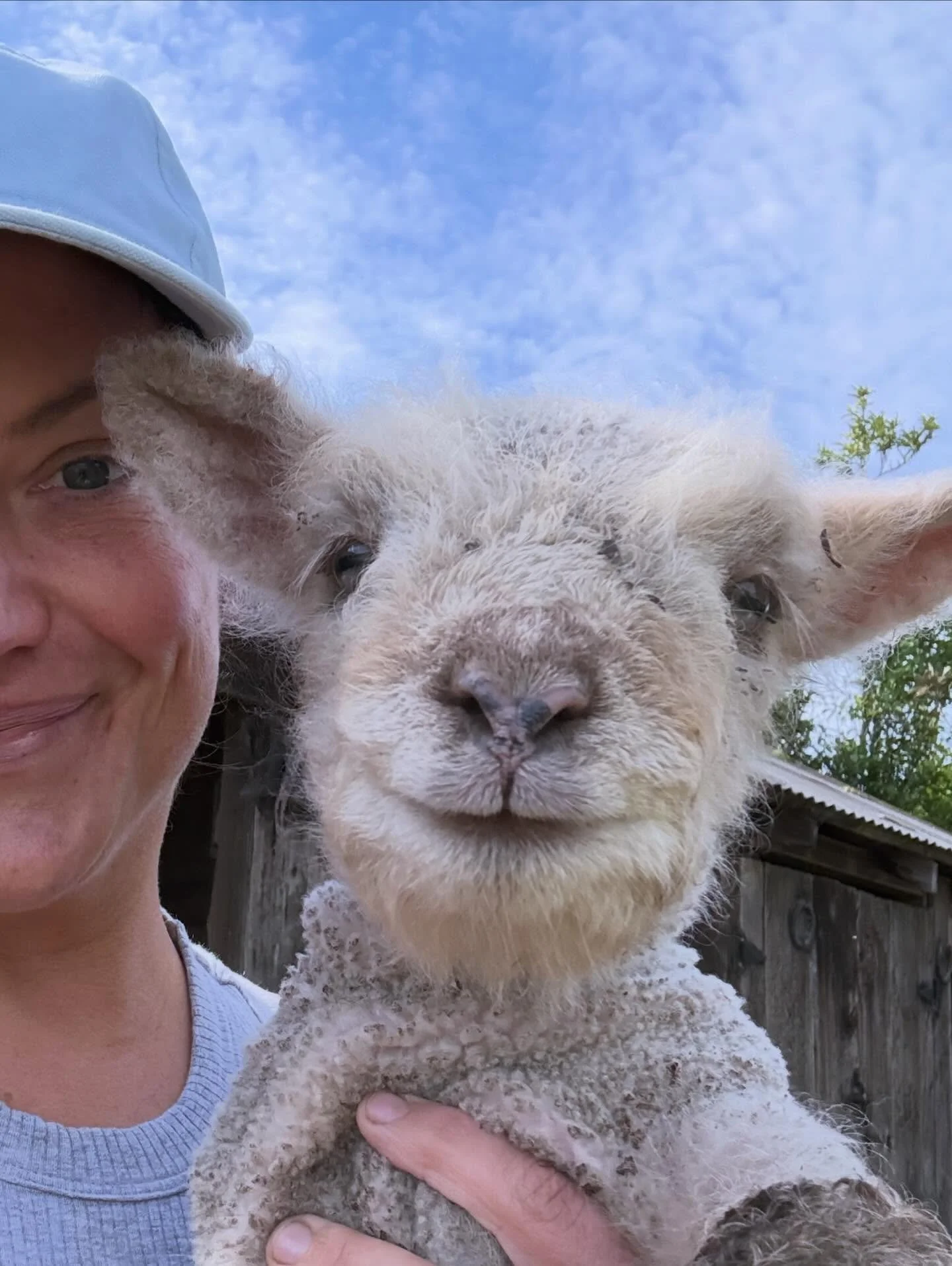 These past two weeks have been unforgettable. 7 little perfect babydoll lambs stole our hearts, and I&rsquo;m so thankful to have shared this adventure as a family @janreichle. What a ride! ❤️